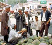 Handel mit Melonen