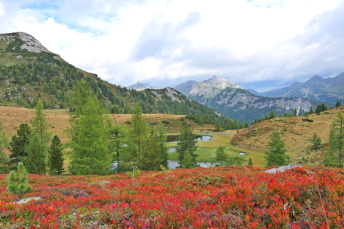 Treberlingspitze