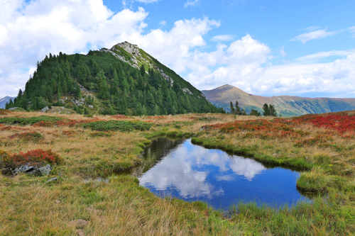 Wildalmsee