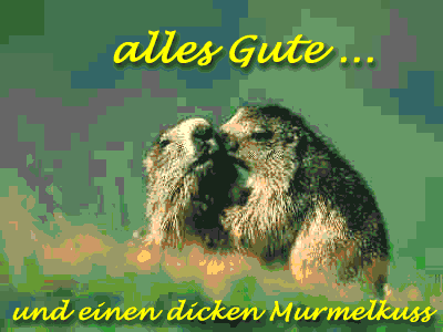 Alles Gute ... und einen dicken Murmelkuss 