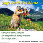 Sag's durch die Blume ....