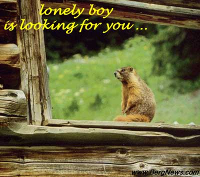 Lonely boy is looking for you ...