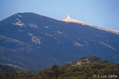 Mont Ventoux