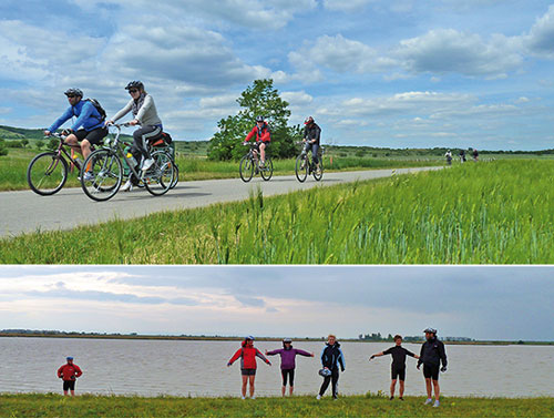 Neusiedler See-Radweg