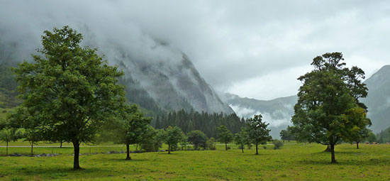 Großer Ahornboden