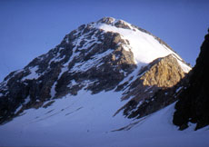 Die Königspitze vom Gran Zebru-Gletscher aus