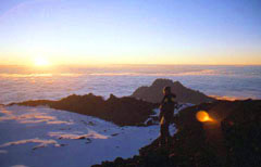 Am Gipfel des Kilimanjaro