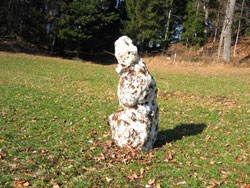 Diesen Schneemann hat der Winter vergessen 