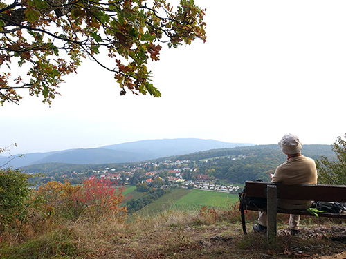 Naturpark Föhrenberge