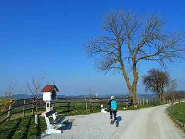 Höhenweg