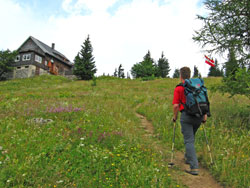 Kurz vor der Waldfreundehütte