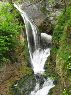 Trefflingfall