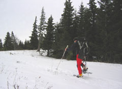 Gehen, Schneeschuhgehen ...