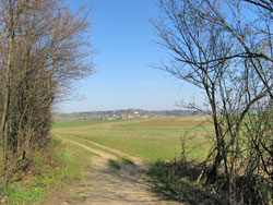 Mitterhaldenweg