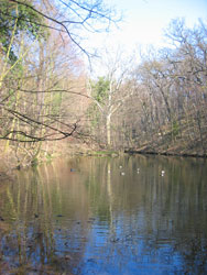 Der Teich im Dehnepark