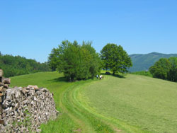 Stollberg - Schwarzes Kreuz 