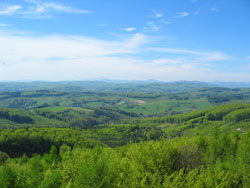 Auf der Troppberg-Warte